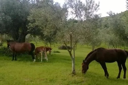 Rossi Holiday home *