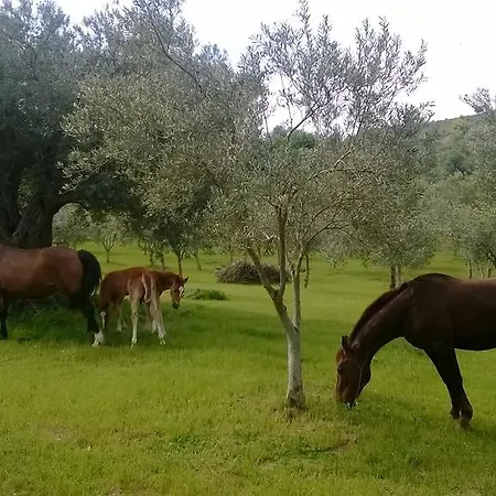 Rossi Holiday home