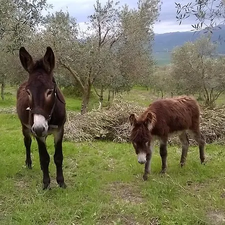 Holiday home Rossi *